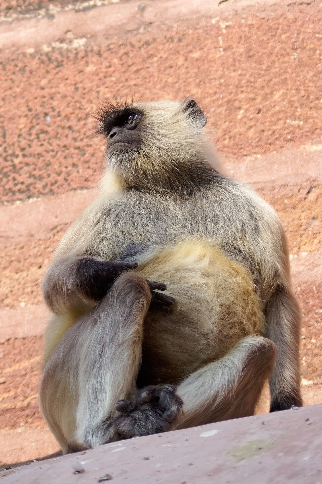 Jodhpur, India